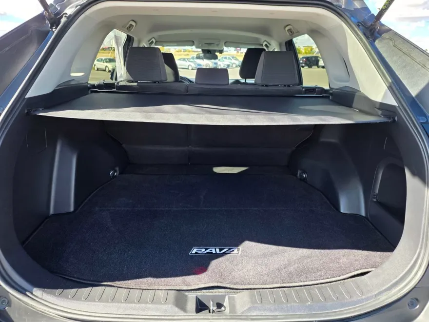2019 Toyota RAV4 Hybrid LE photo 1
