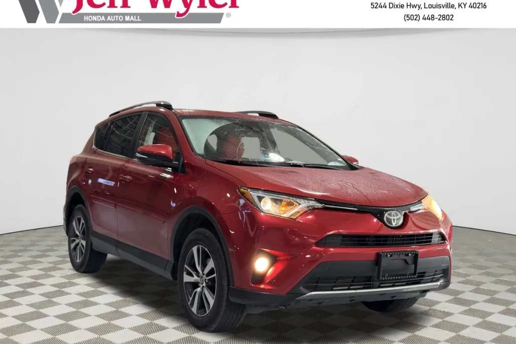 2017 Toyota RAV4 XLE photo 1