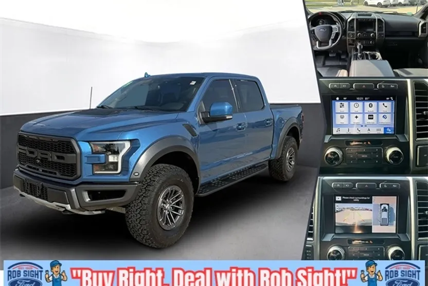 2019 Ford F-150 Raptor photo 1
