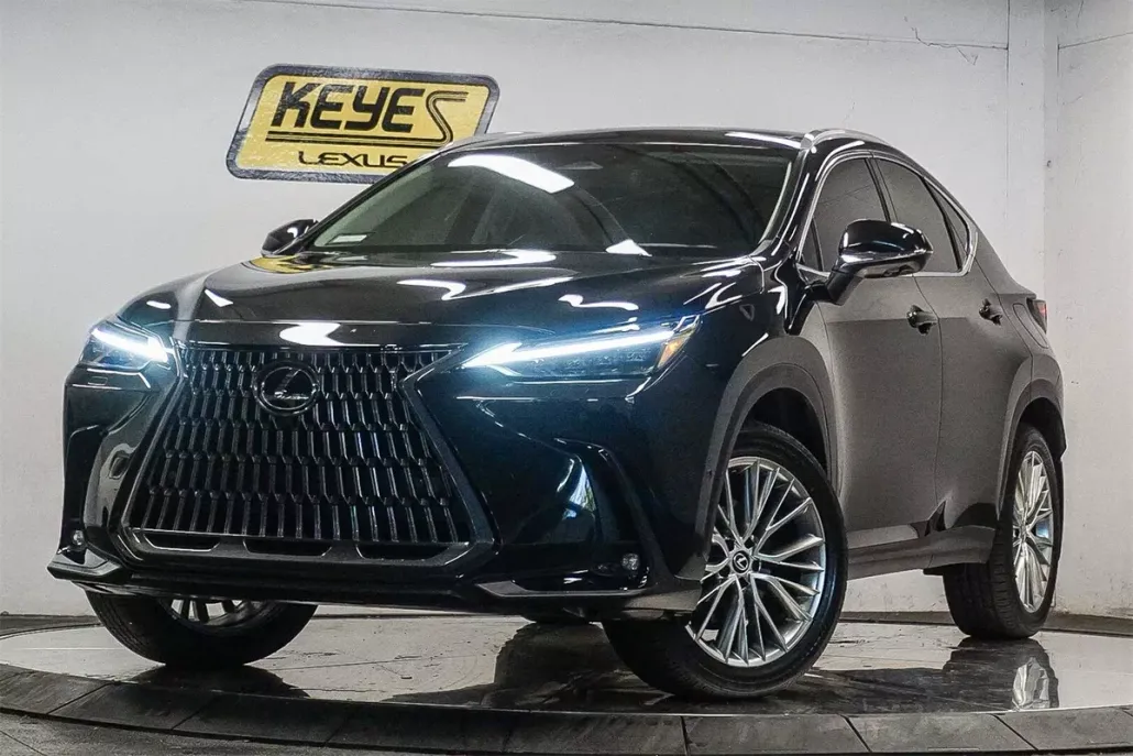 2025 Lexus NX 350h Luxury photo 1