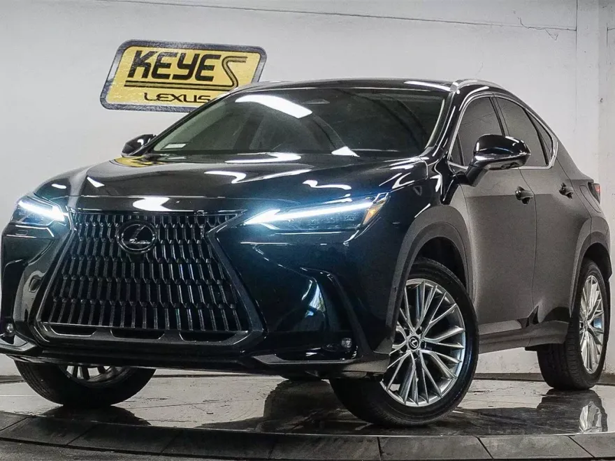 2025 Lexus NX 350h Luxury photo 1