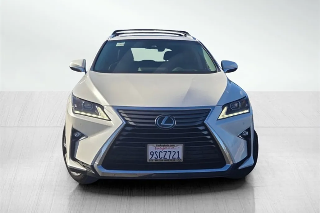 2019 Lexus RX 350 photo 1