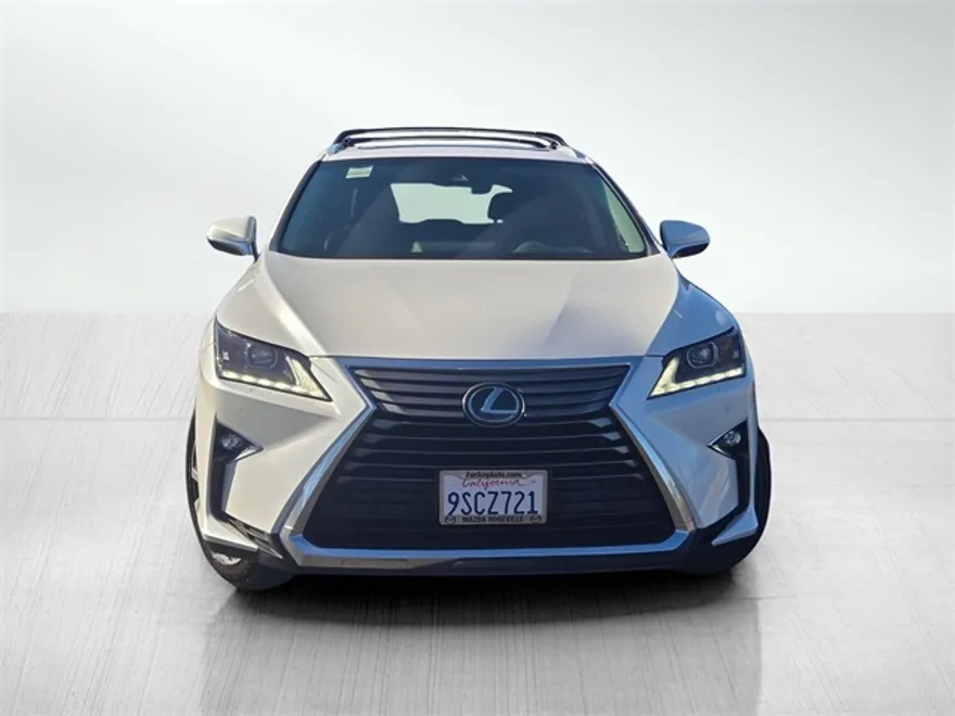 2019 Lexus RX 350 photo 1