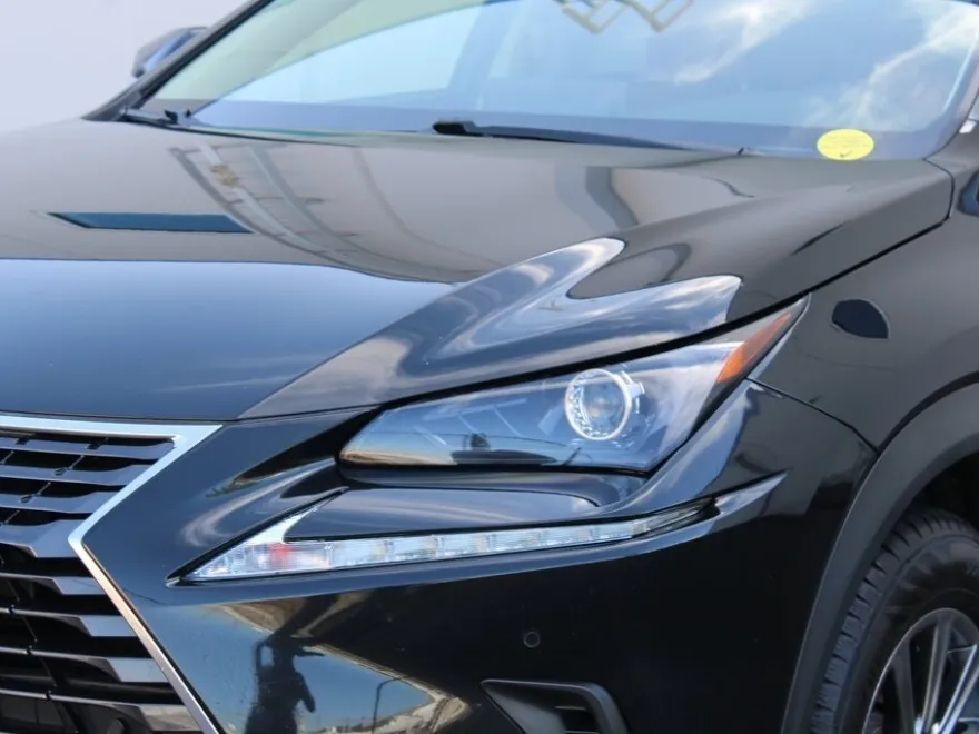 2019 Lexus NX 300 Luxury photo 1