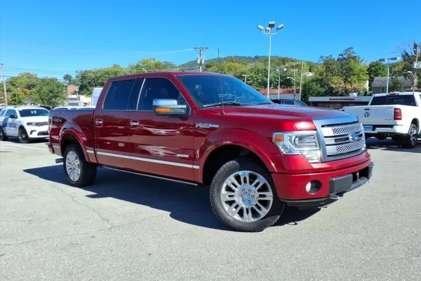 2013 Ford F-150 Platinum photo 1