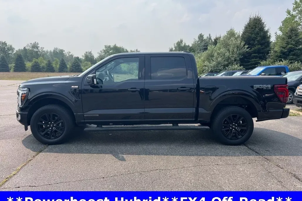 2024 Ford F-150 Platinum photo 1