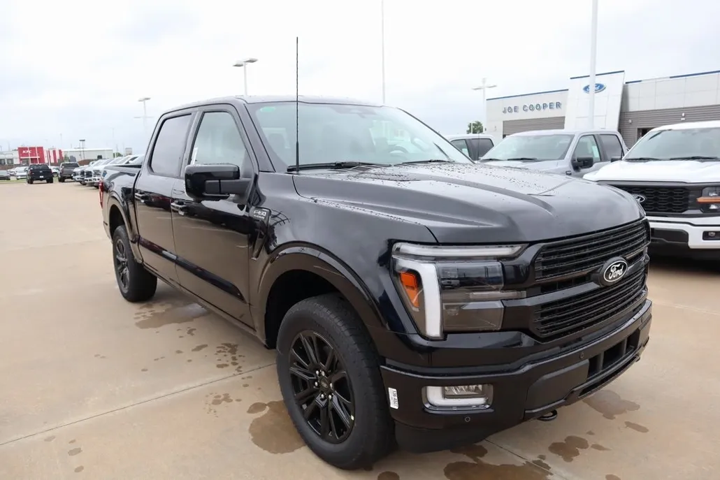 2025 Ford F-150 Platinum photo 1