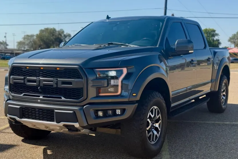 2019 Ford F-150 Raptor photo 1