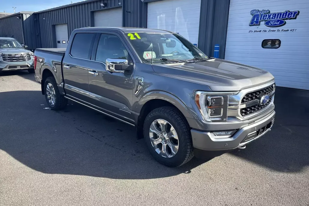 2021 Ford F-150 Platinum photo 1