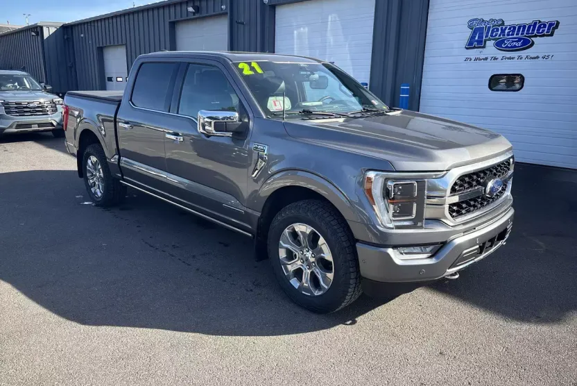 2021 Ford F-150 Platinum photo 1