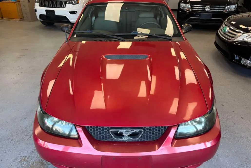 2000 Ford Mustang GT photo 1