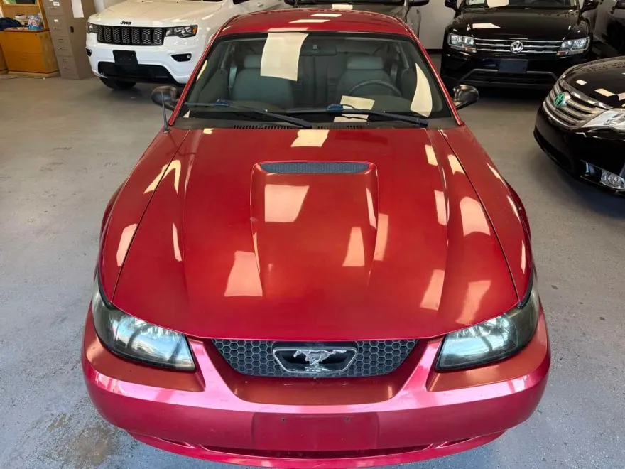 2000 Ford Mustang GT photo 1