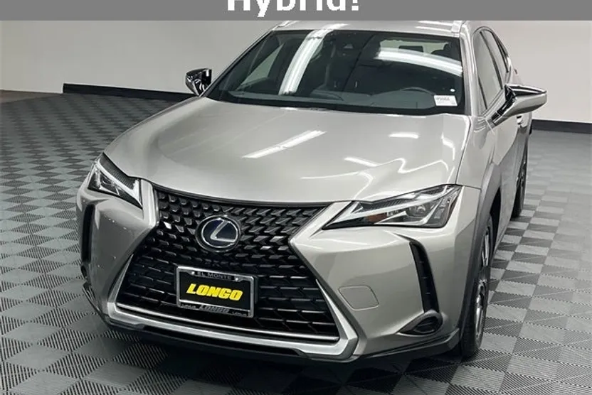 2019 Lexus UX 250h photo 1
