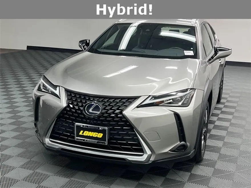2019 Lexus UX 250h photo 1
