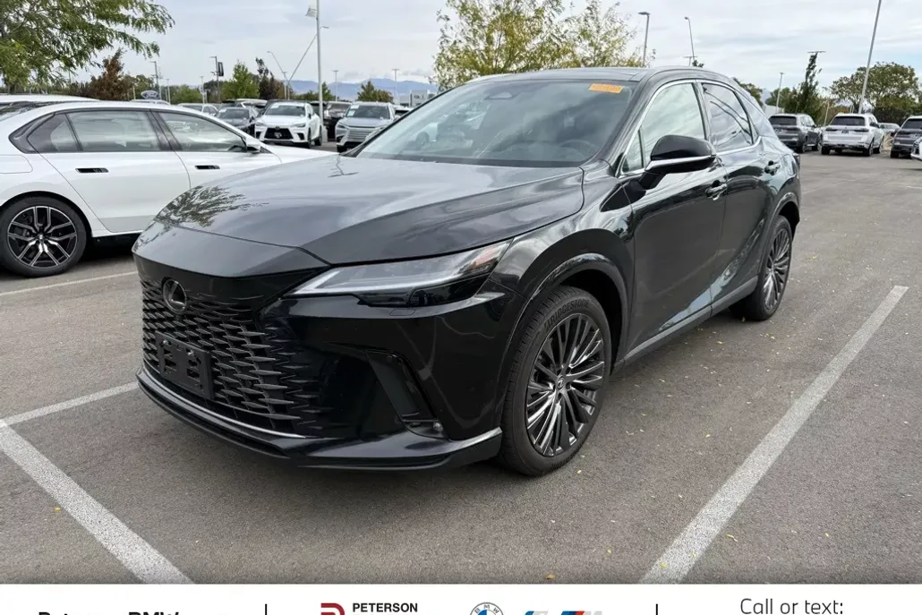 2023 Lexus RX 350h Premium photo 1
