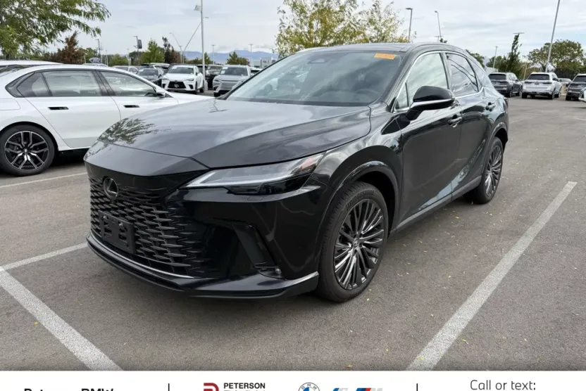 2023 Lexus RX 350h Premium photo 1