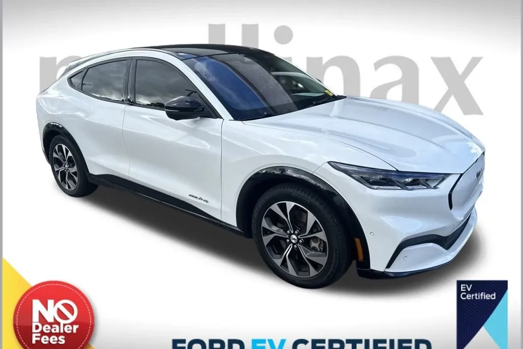 2021 Ford Mustang Mach-E Premium photo 1
