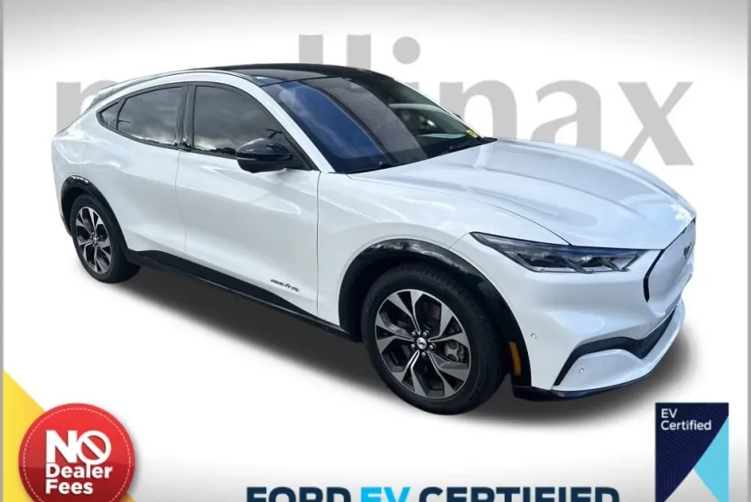 2021 Ford Mustang Mach-E Premium photo 1
