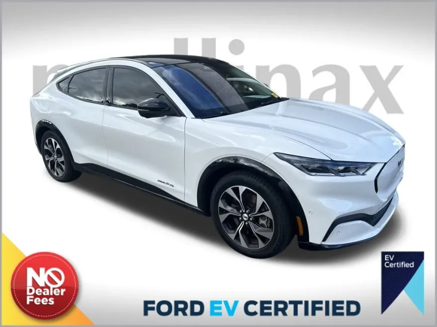 2021 Ford Mustang Mach-E Premium photo 1