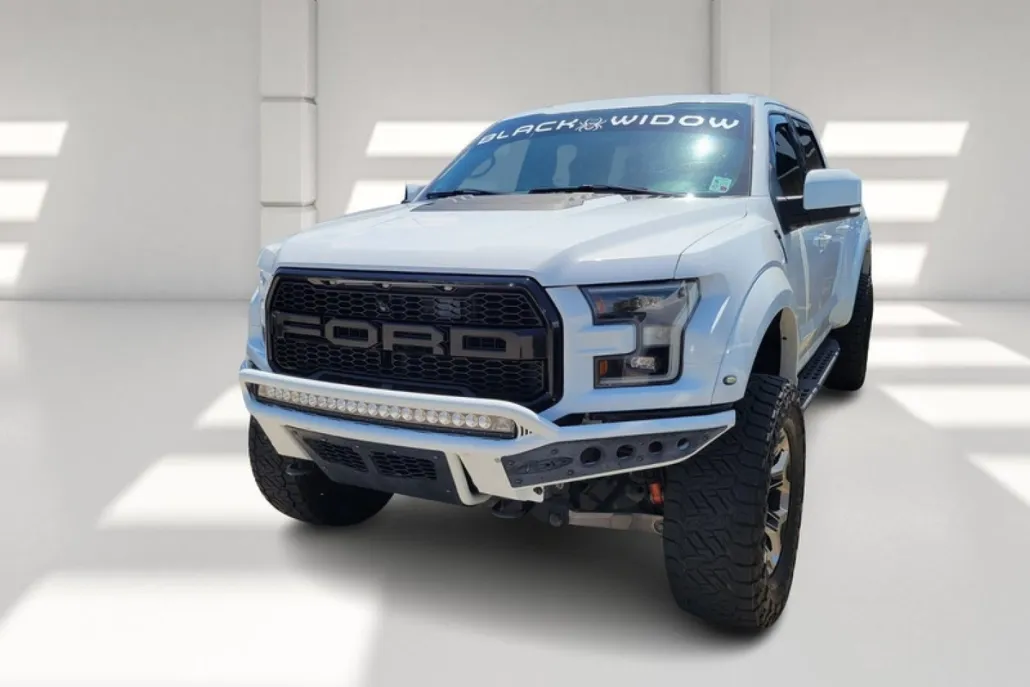 2019 Ford F-150 Raptor photo 1