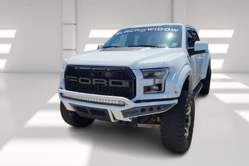 2019 Ford F-150 Raptor photo 1