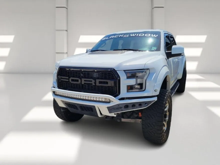 2019 Ford F-150 Raptor photo 1