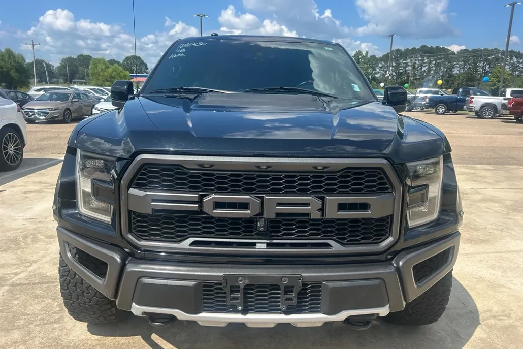 2018 Ford F-150 Raptor photo 1