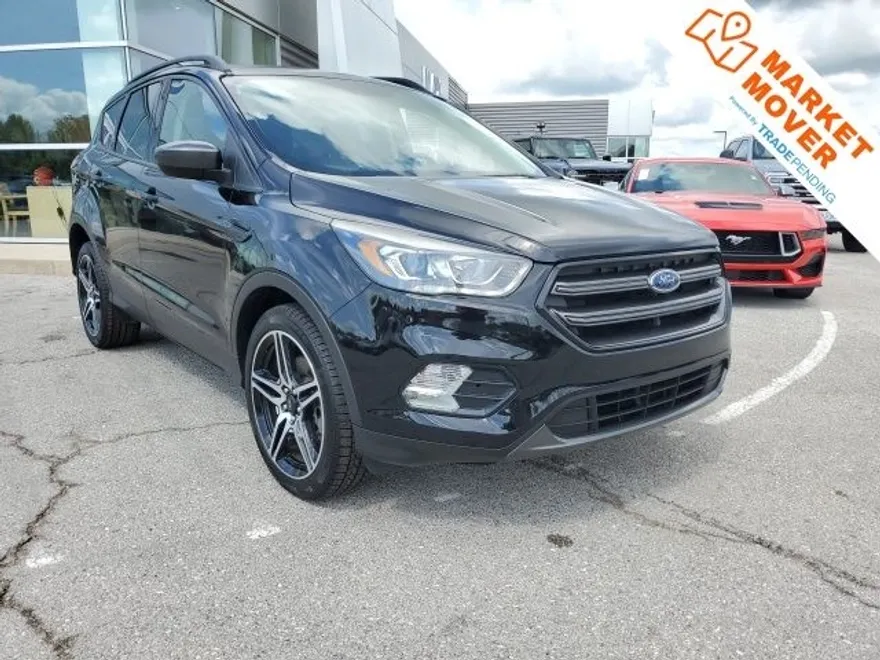 2019 Ford Escape SEL photo 1