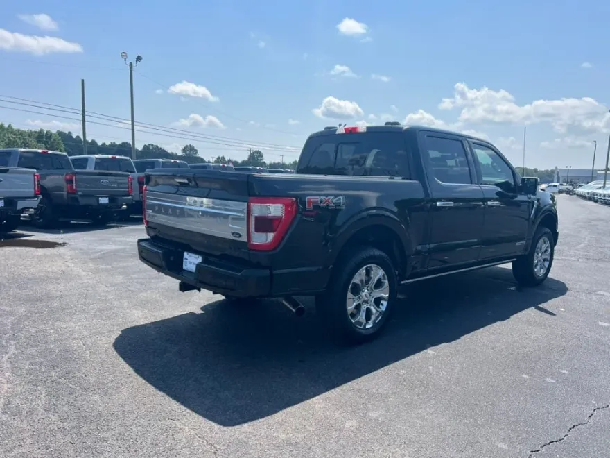 2021 Ford F-150 Platinum photo 5