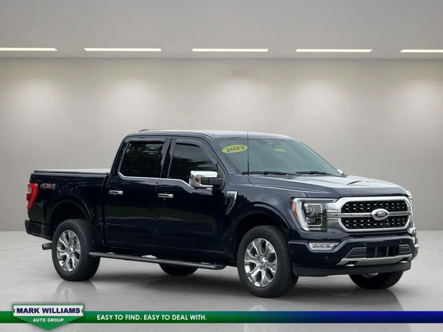 2022 Ford F-150 Platinum photo 1
