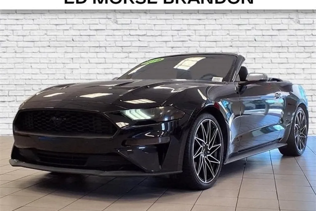 2019 Ford Mustang EcoBoost photo 1