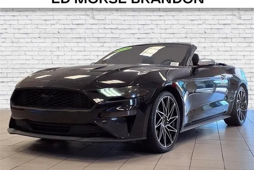 2019 Ford Mustang EcoBoost photo 1
