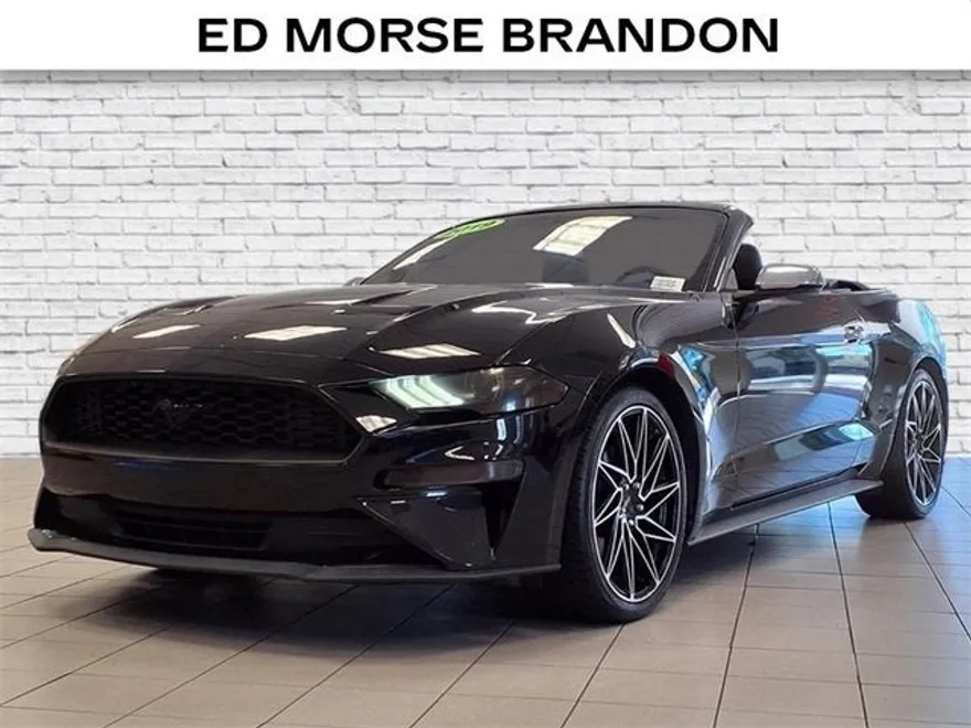 2019 Ford Mustang EcoBoost photo 1
