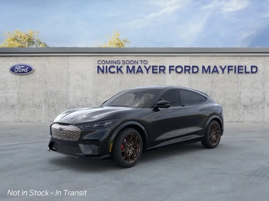 2025 Ford Mustang Mach-E GT photo 1