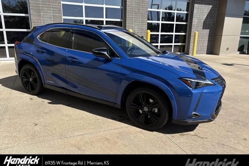 2021 Lexus UX 250h photo 1