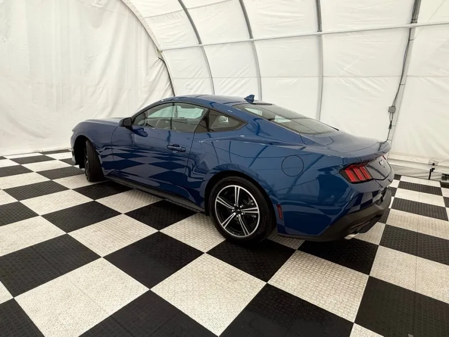 2024 Ford Mustang EcoBoost photo 1