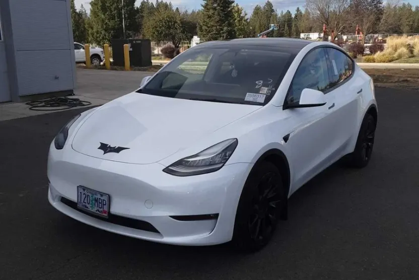 2022 Tesla Model Y Long Range photo 1