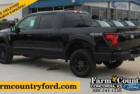 2025 Ford F-150 STX photo 3