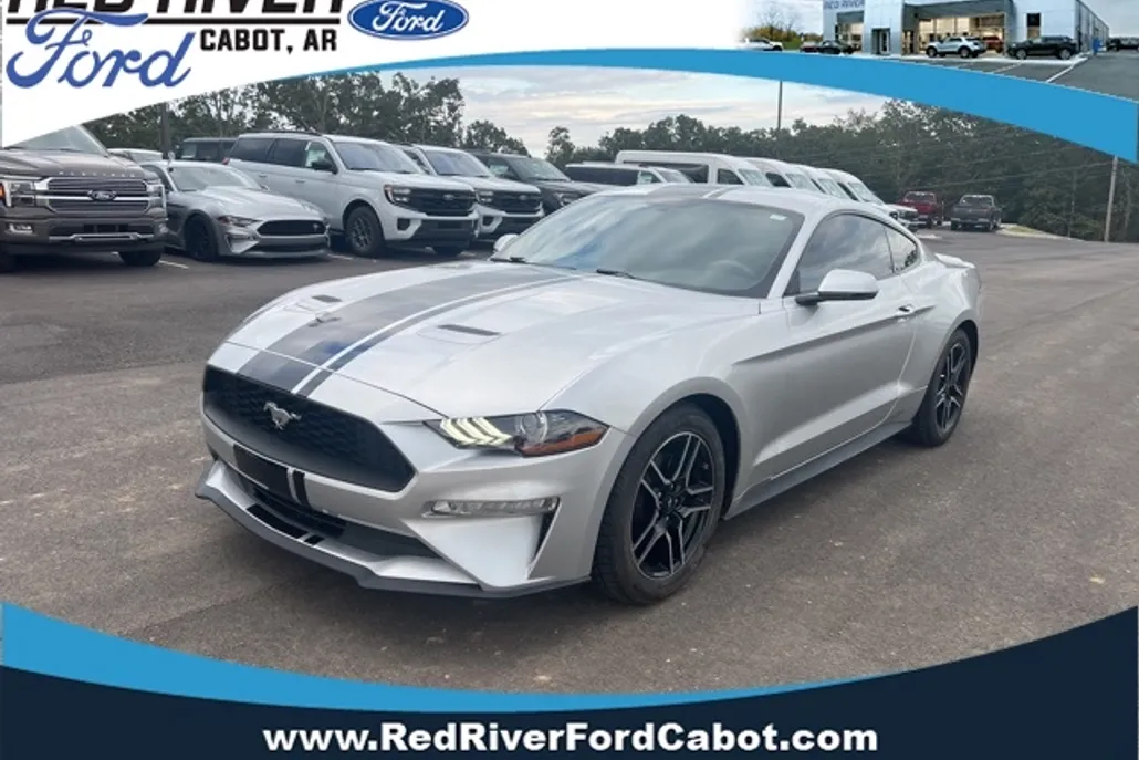 2019 Ford Mustang EcoBoost Premium photo 1
