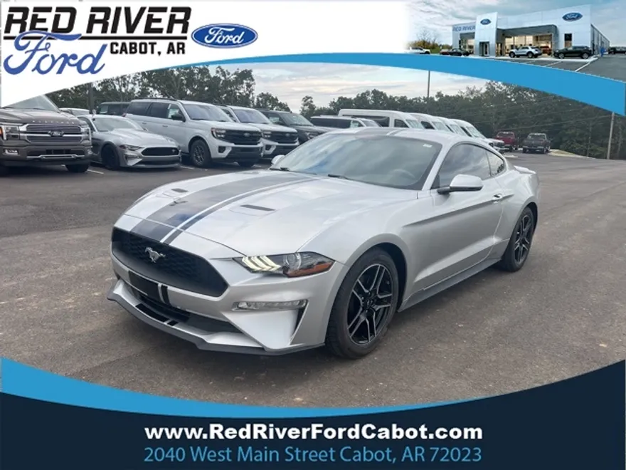 2019 Ford Mustang EcoBoost Premium photo 1