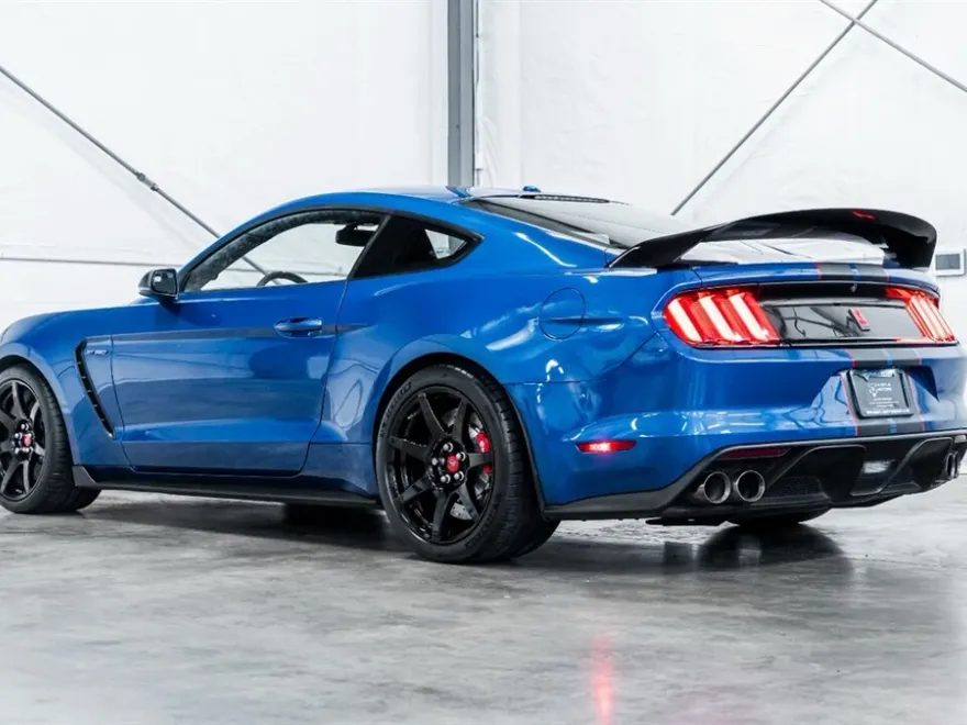 2017 Ford Mustang Shelby GT350 R photo 1