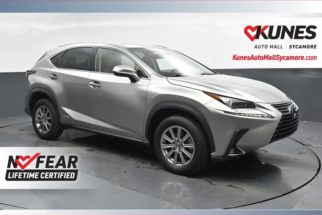 2020 Lexus NX 300h photo 1
