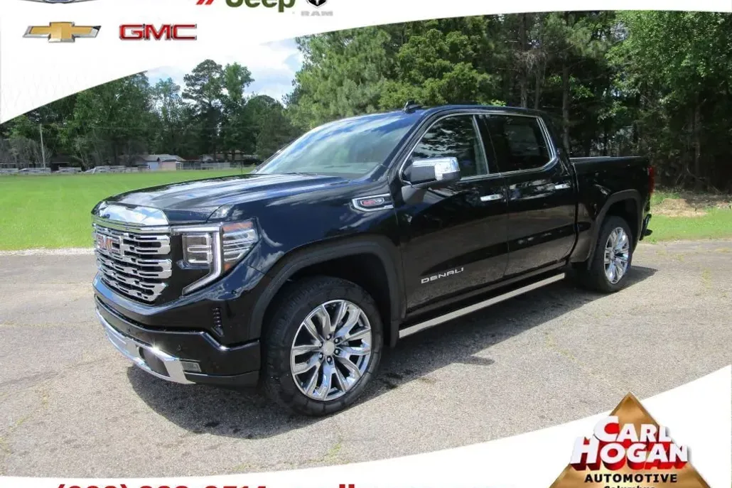 2025 Gmc Sierra 1500 Denali photo 1