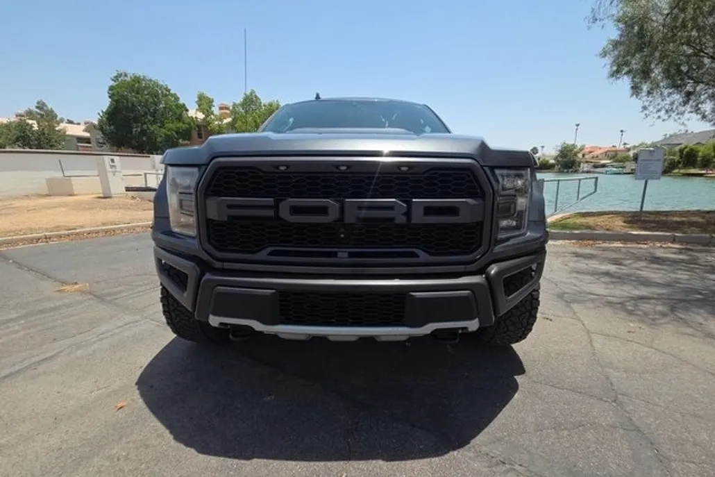 2019 Ford F-150 Raptor photo 1