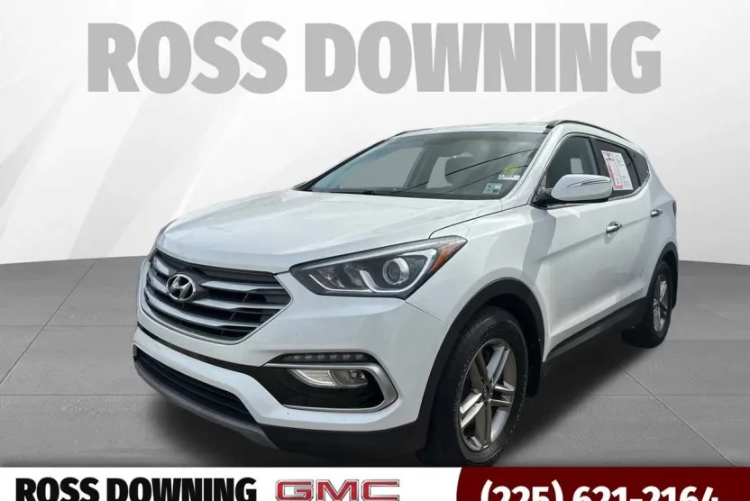 2018 Hyundai Santa Fe Sport photo 1