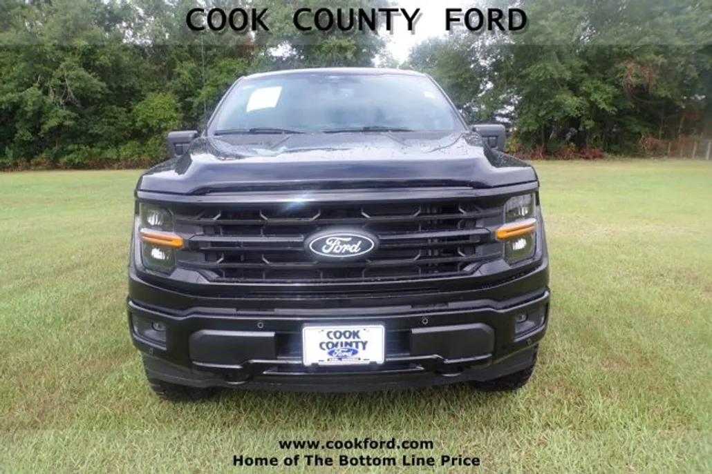 2025 Ford F-150 XLT photo 1