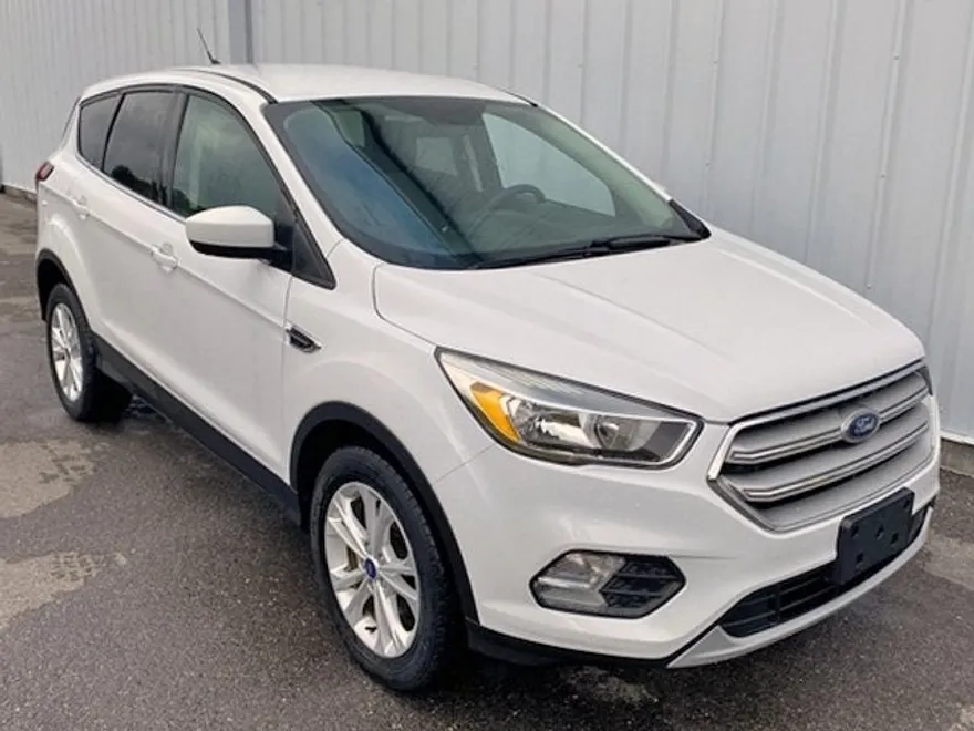 2019 Ford Escape SE photo 1