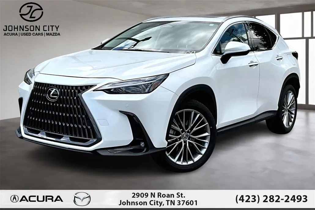 2022 Lexus NX 350h Premium photo 1