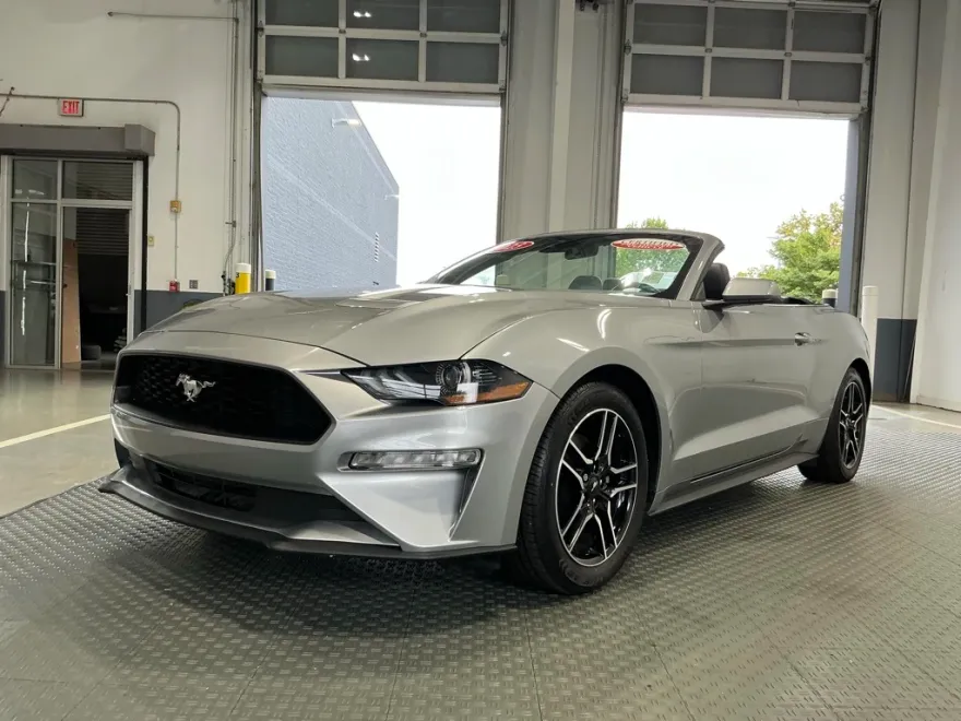 2023 Ford Mustang EcoBoost Premium photo 1
