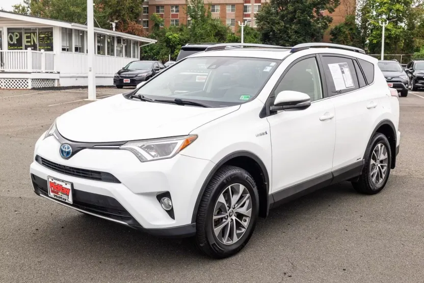 2018 Toyota RAV4 Hybrid LE photo 1